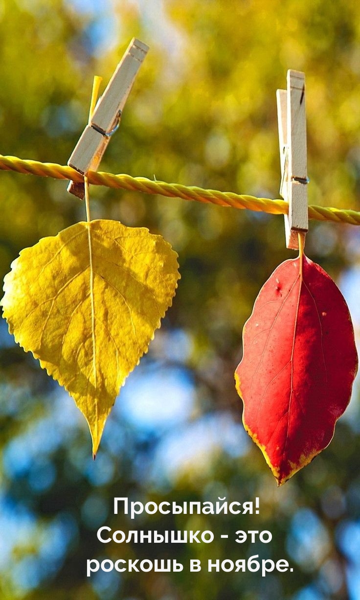 Просыпайся! Солнышко - это роскошь в ноябре. 