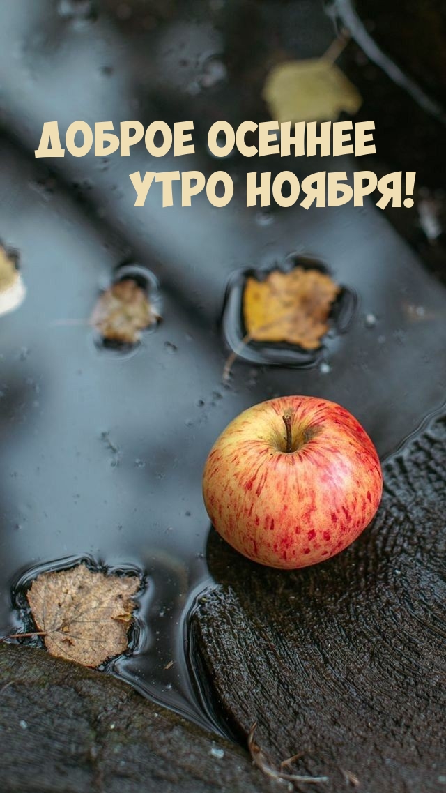 Доброе осеннее утро ноября!