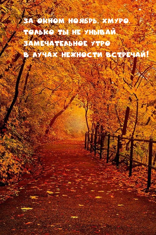 За окном ноябрь, хмуро, только ты не унывай.
