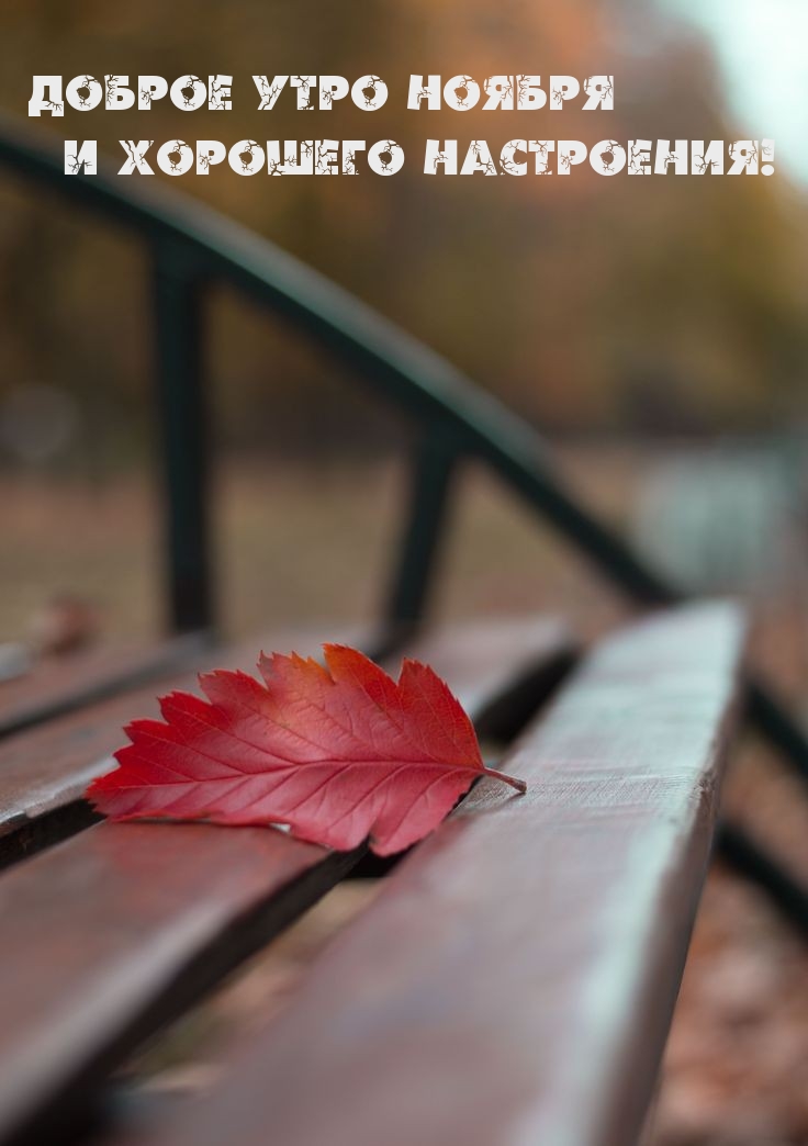 Доброе утро ноября и хорошего настроения! 