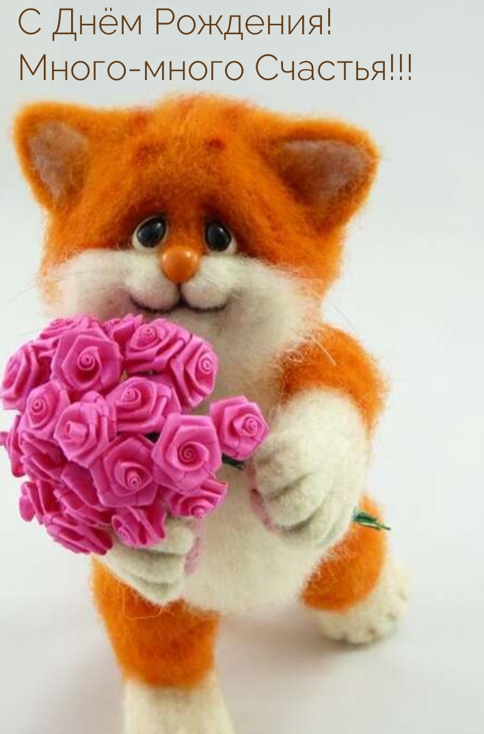 С Днём Рождения! Много-много Счастья!