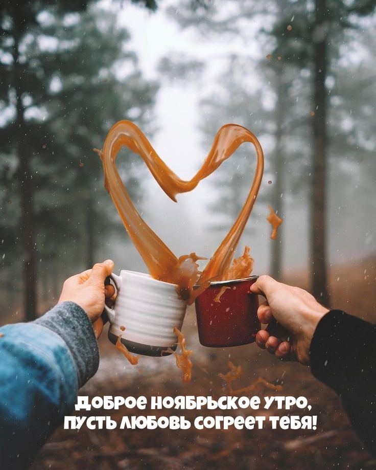 Доброе ноябрьское утро, пусть любовь согреет тебя! 