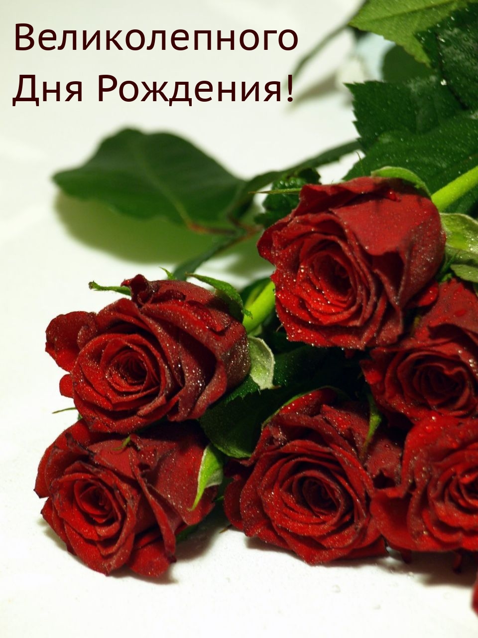 Великолепного Дня Рождения!