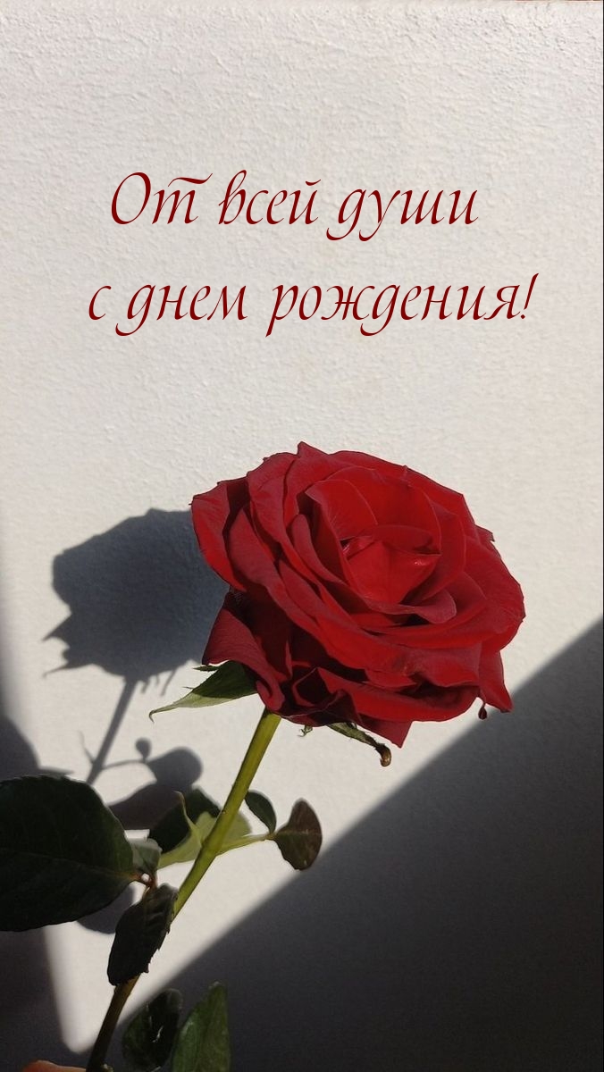 От всей души с днем рождения!