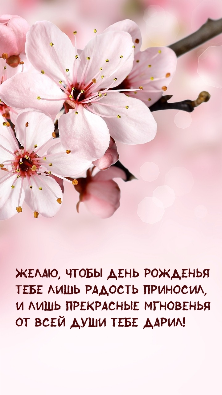 Желаю, чтобы день рожденья лишь радость приносил