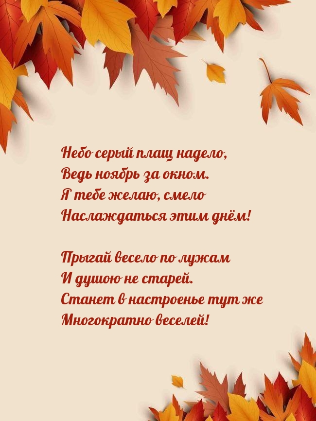 Небо серый плащ надело, ведь ноябрь за окном.