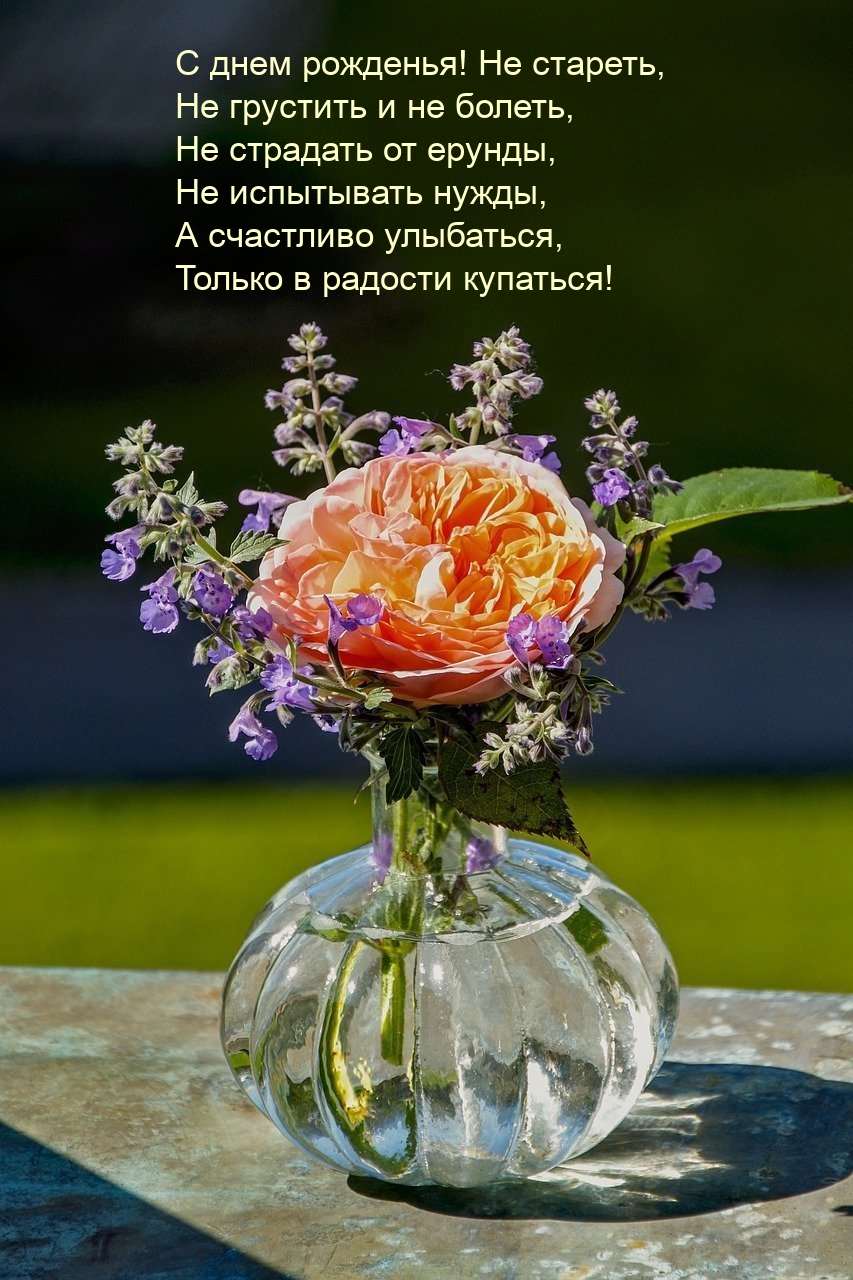 С днем рожденья! Не стареть, не грустить и не болеть