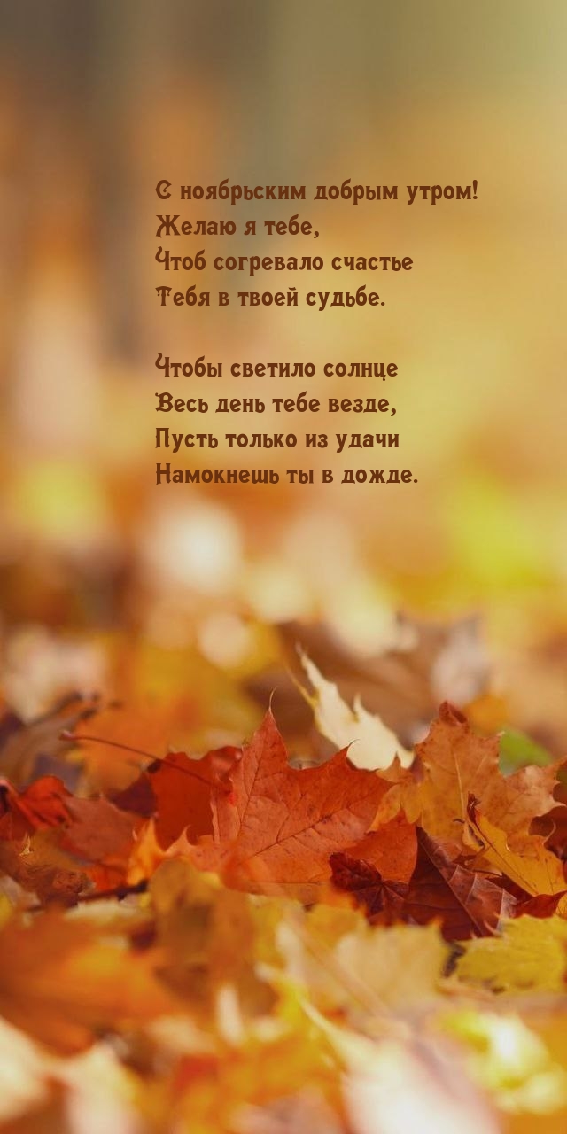 С ноябрьским добрым утром! Чтоб согревало счастье