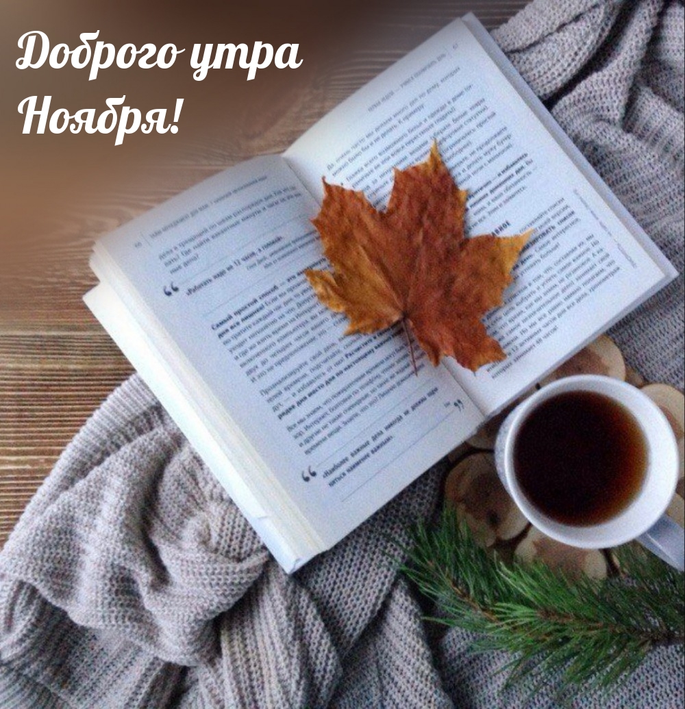 Доброго утра Ноября!