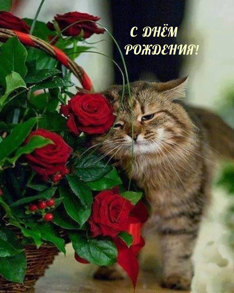 С днём рождения!