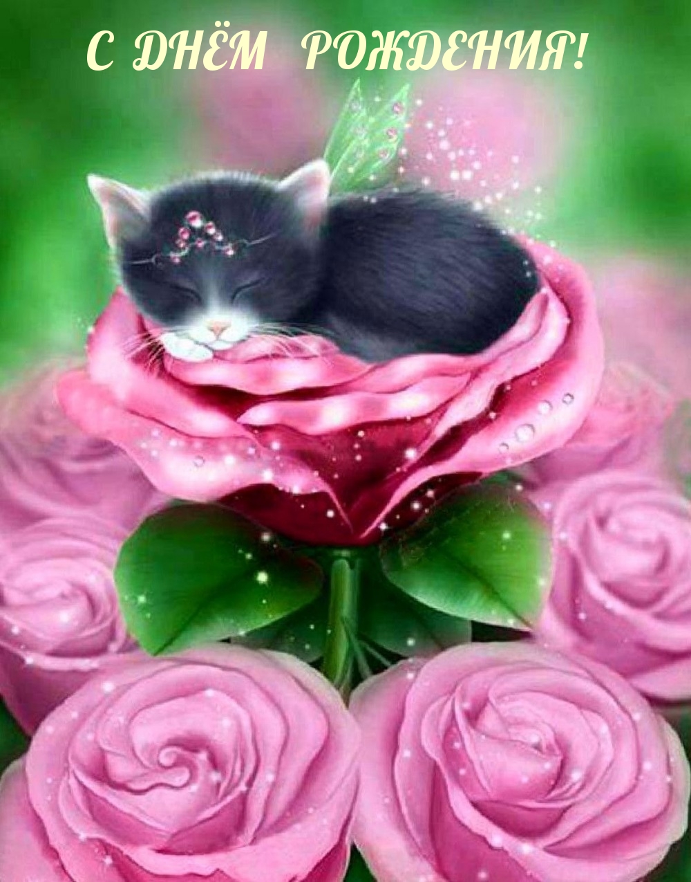 С днём рождения!
