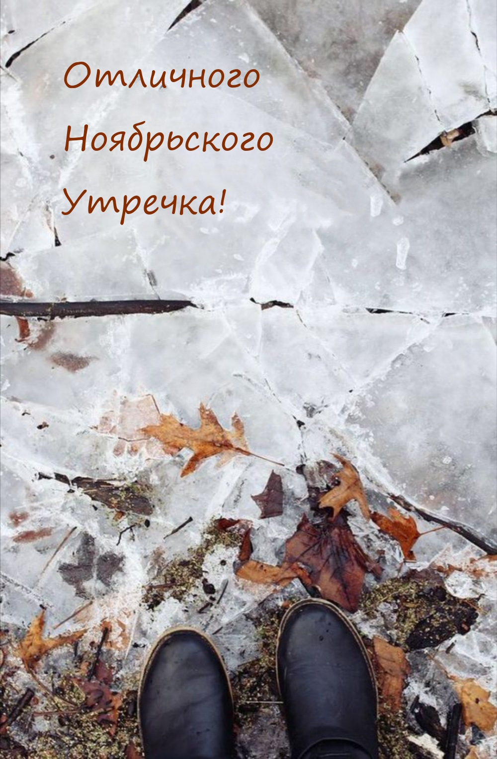 Отличного Ноябрьского Утречка!