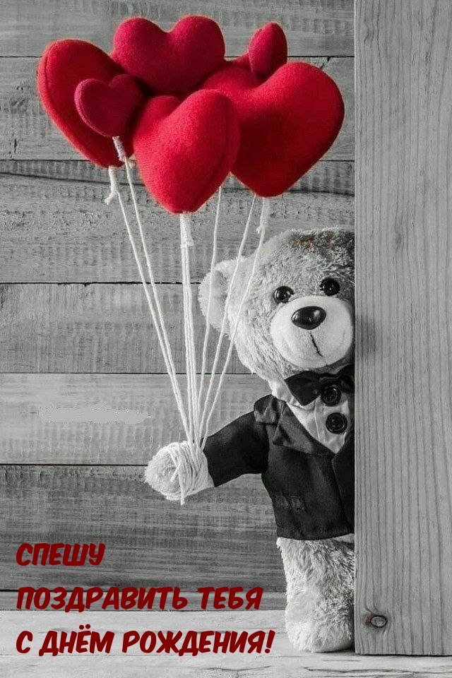 Спешу поздравить тебя с днём рождения! 