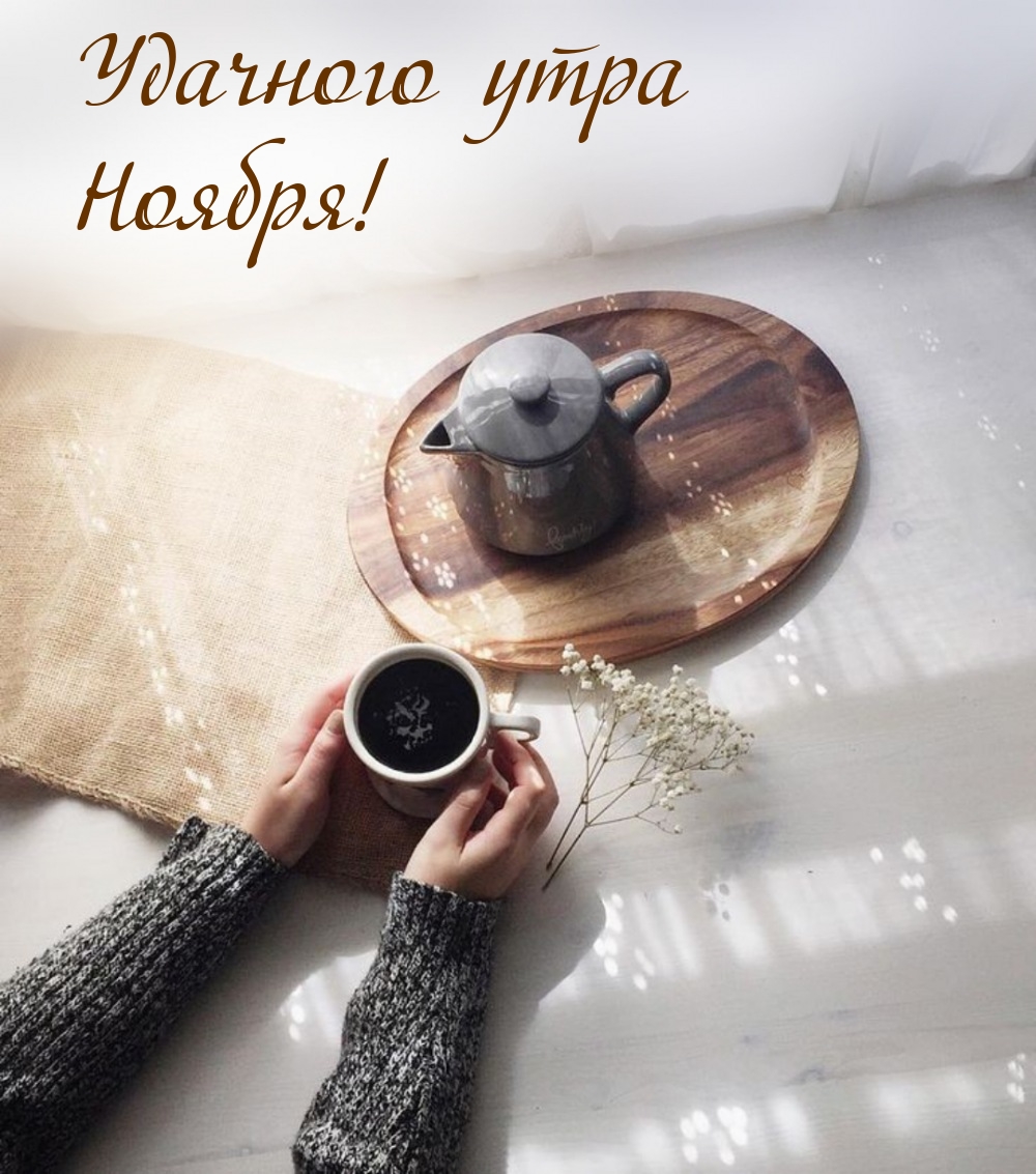 Удачного утра Ноября!