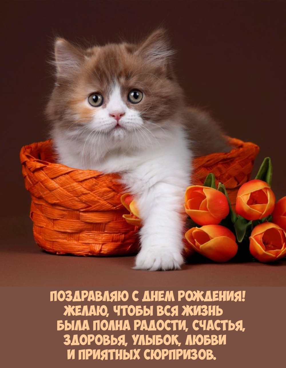 С днем рождения! Желаю, чтобы вся жизнь была полна радости