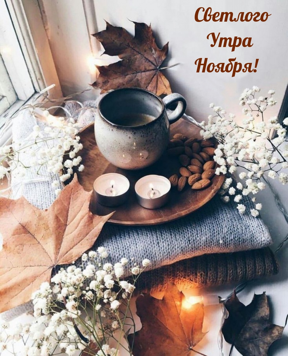 Светлого Утра Ноября!