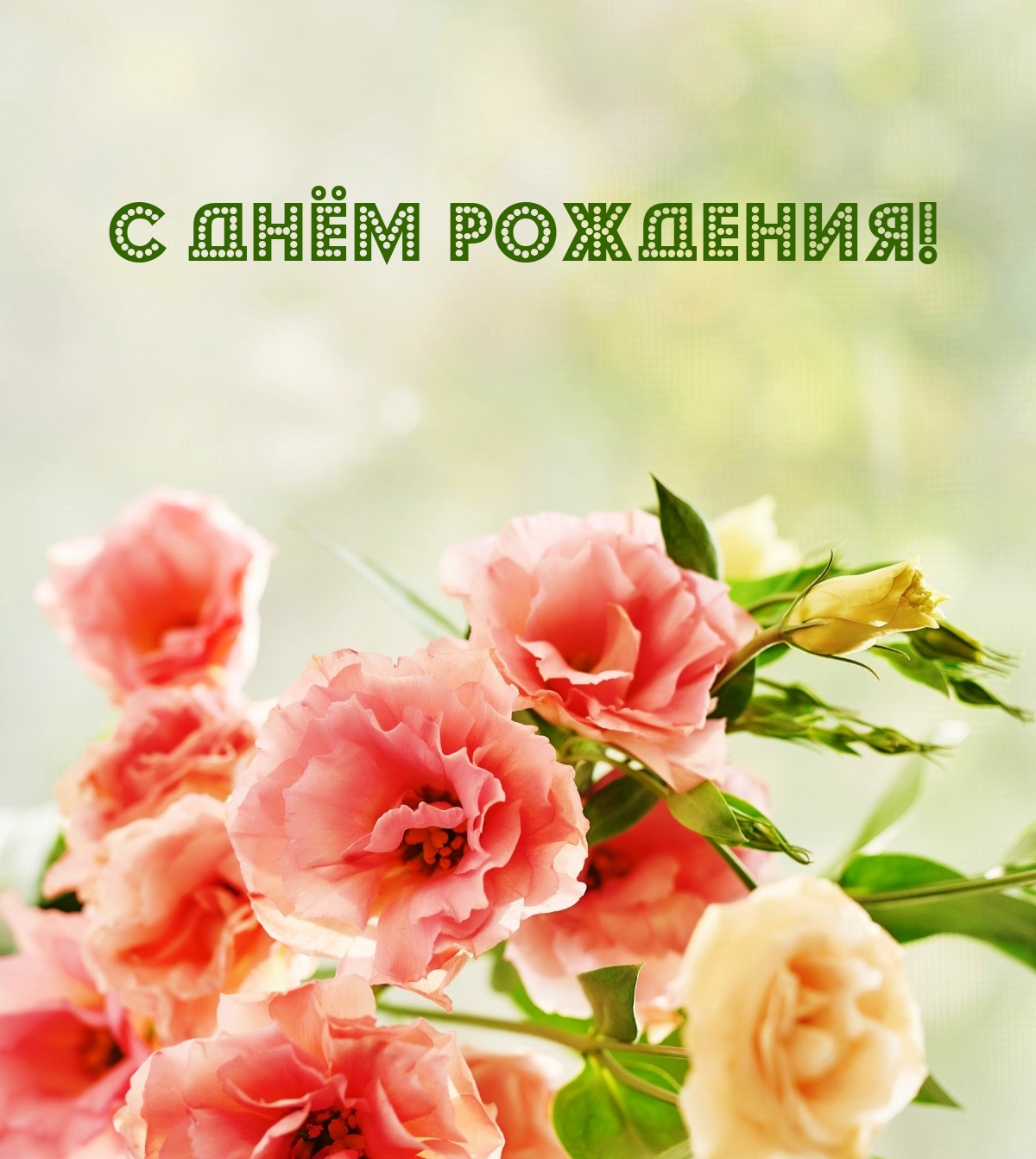 С днём рождения!