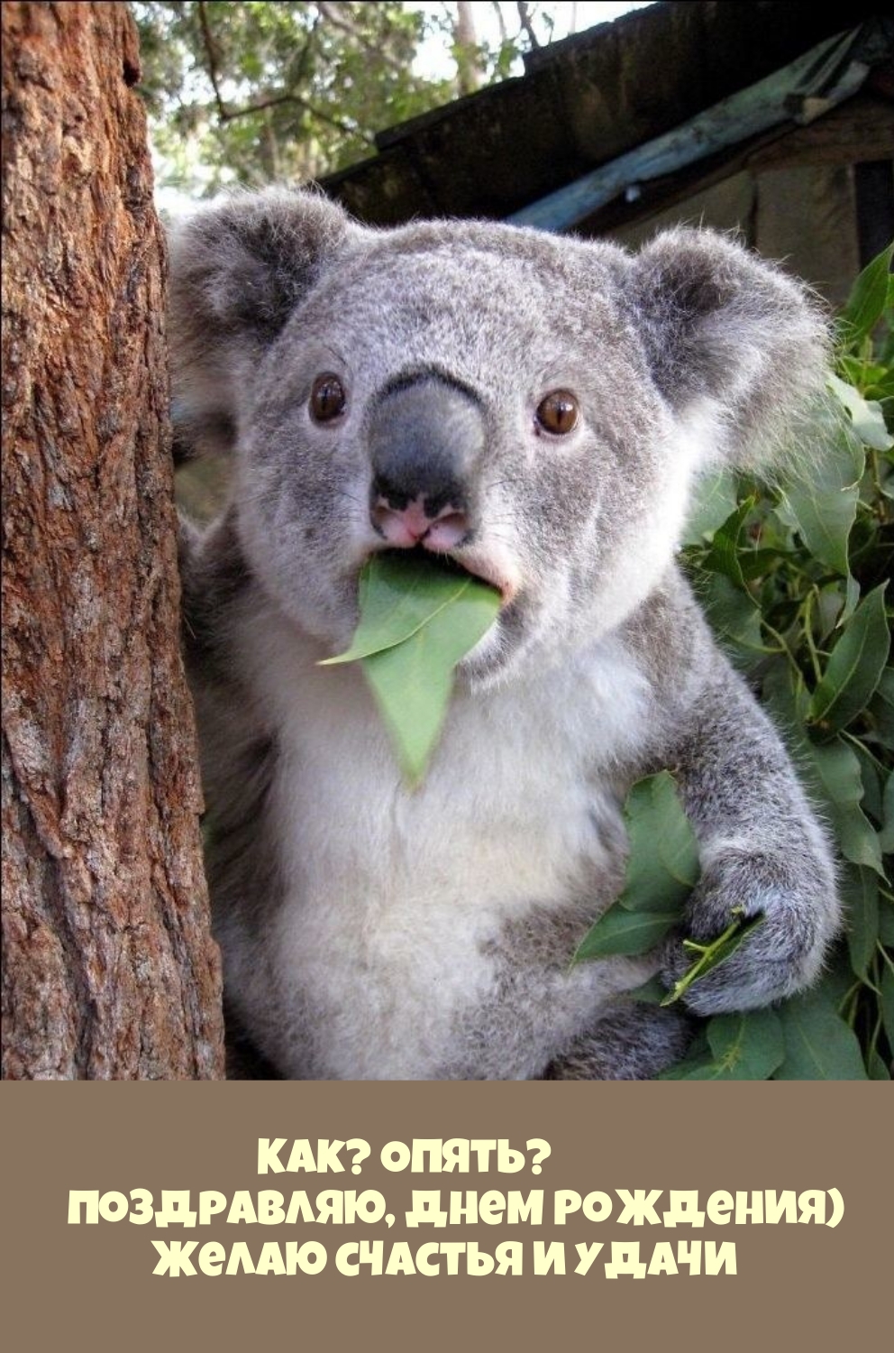 Поздравляю, Днем Рождения) Желаю счастья и удачи