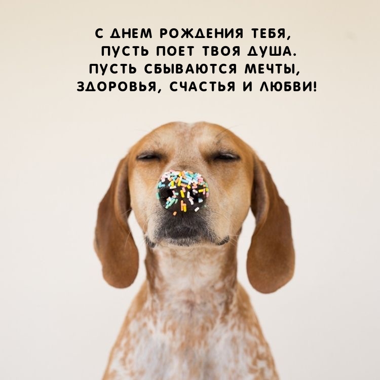 С днем рождения тебя, пусть поет твоя душа.