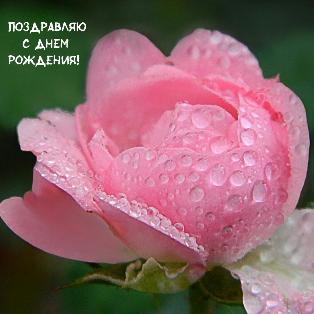 Поздравляю с днем рождения!