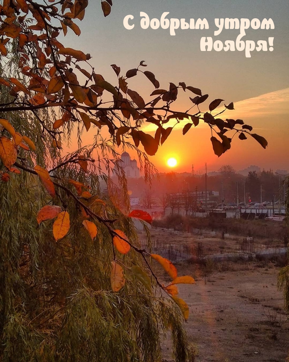 С добрым утром Ноября!