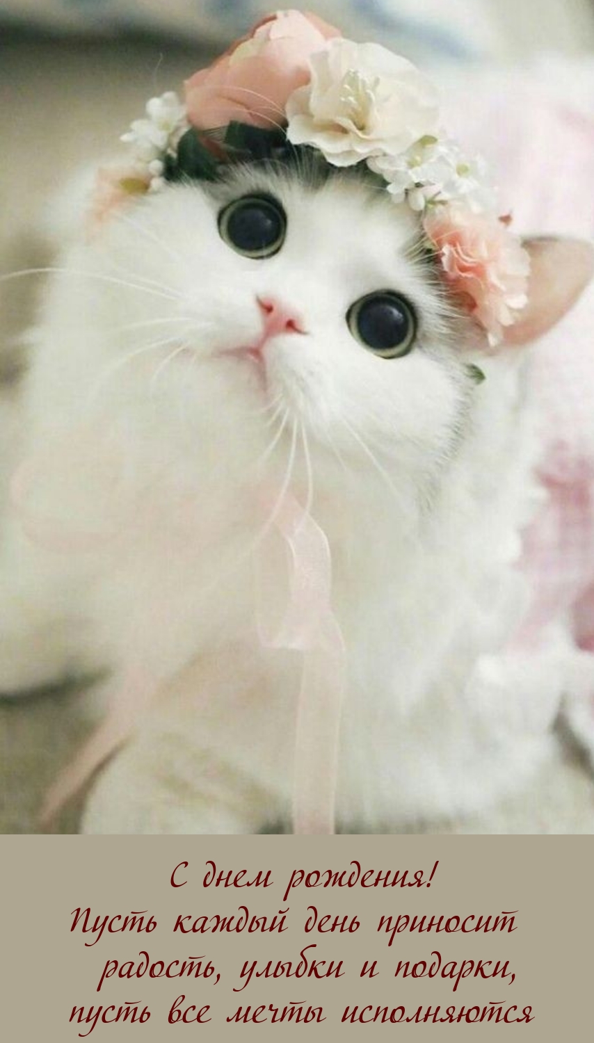 С днем рождения! Пусть каждый день приносит радость, улыбки
