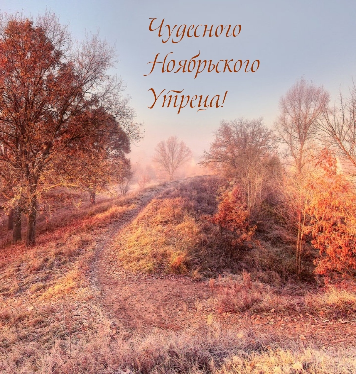 Чудесного Ноябрьского Утреца!