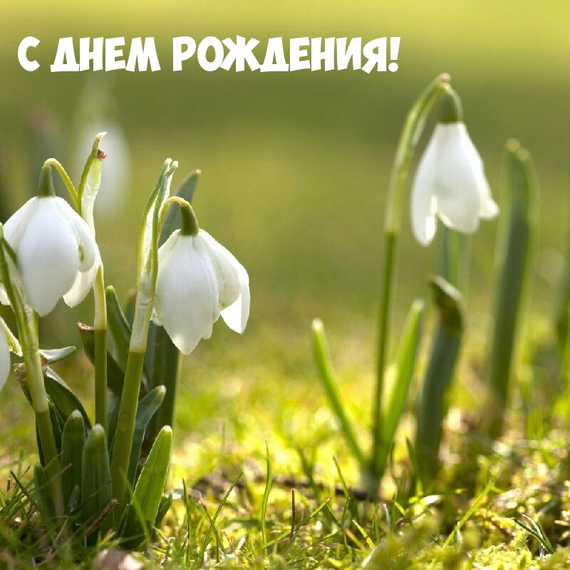 С днем рождения!