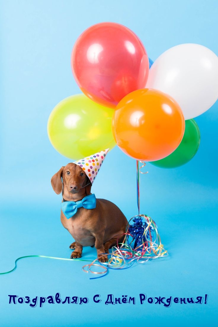 Поздравляю С Днём Рождения!