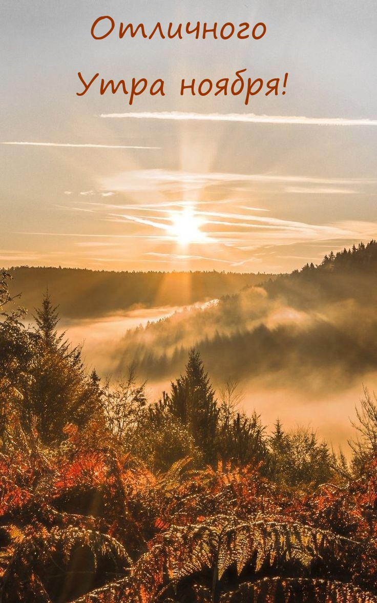 Отличного Утра ноября!