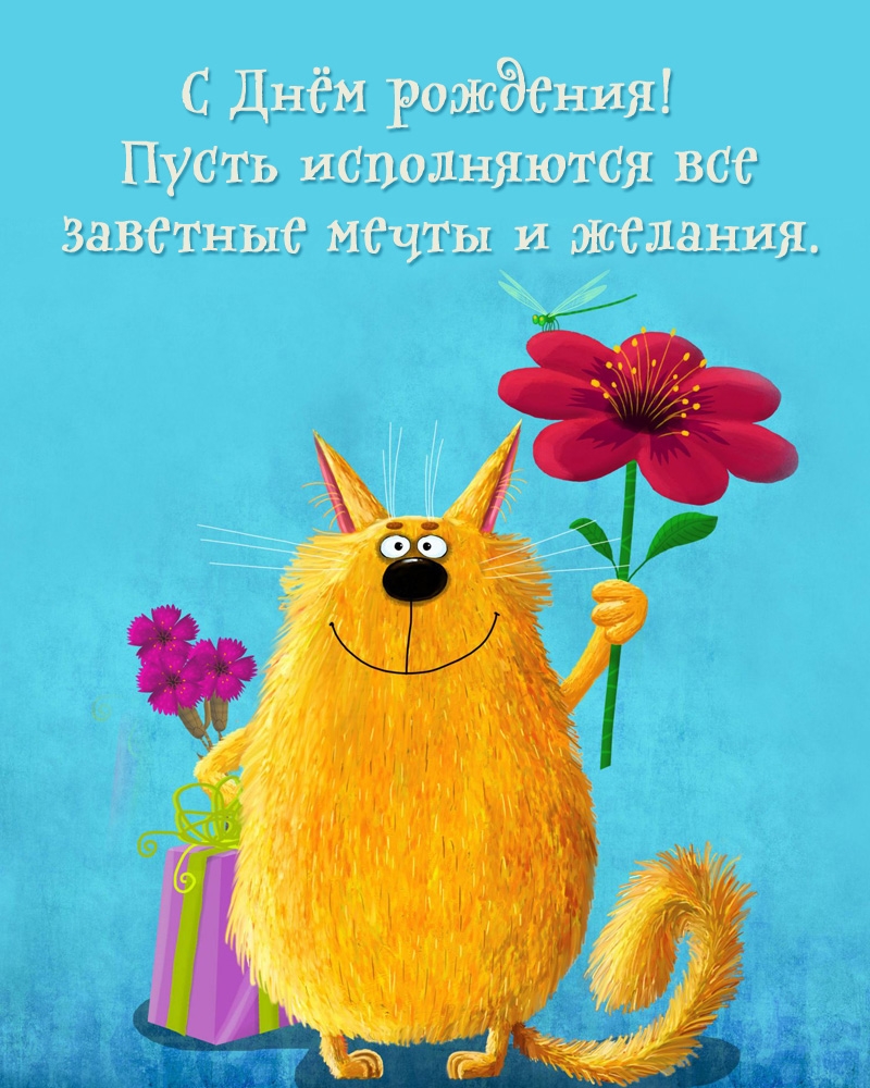 С Днём рождения! Пусть исполняются все заветные мечты. 