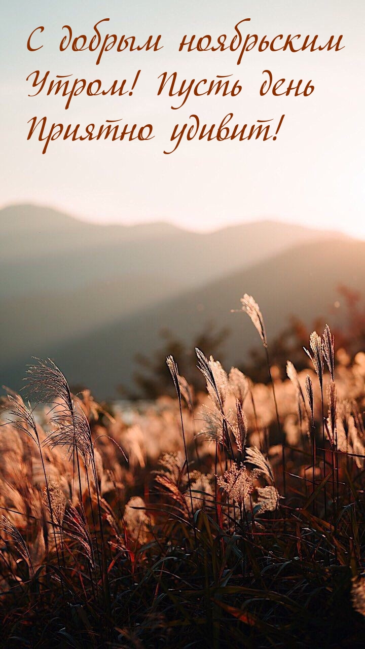 С добрым ноябрьским утром! Пусть день приятно удивит! 