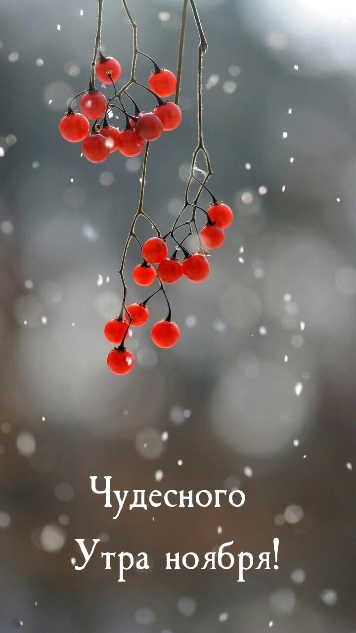 Чудесного Утра ноября!