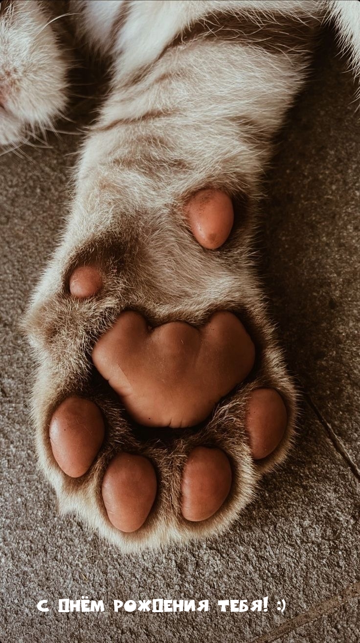 С Днём рождения тебя! :)