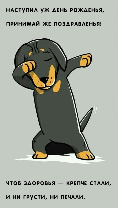 Наступил уж День рожденья, принимай же поздравленья!