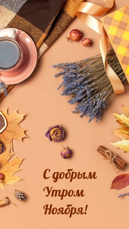 С добрым Утром Ноября!