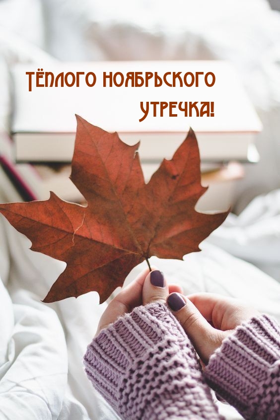 Тёплого ноябрьского Утречка! 