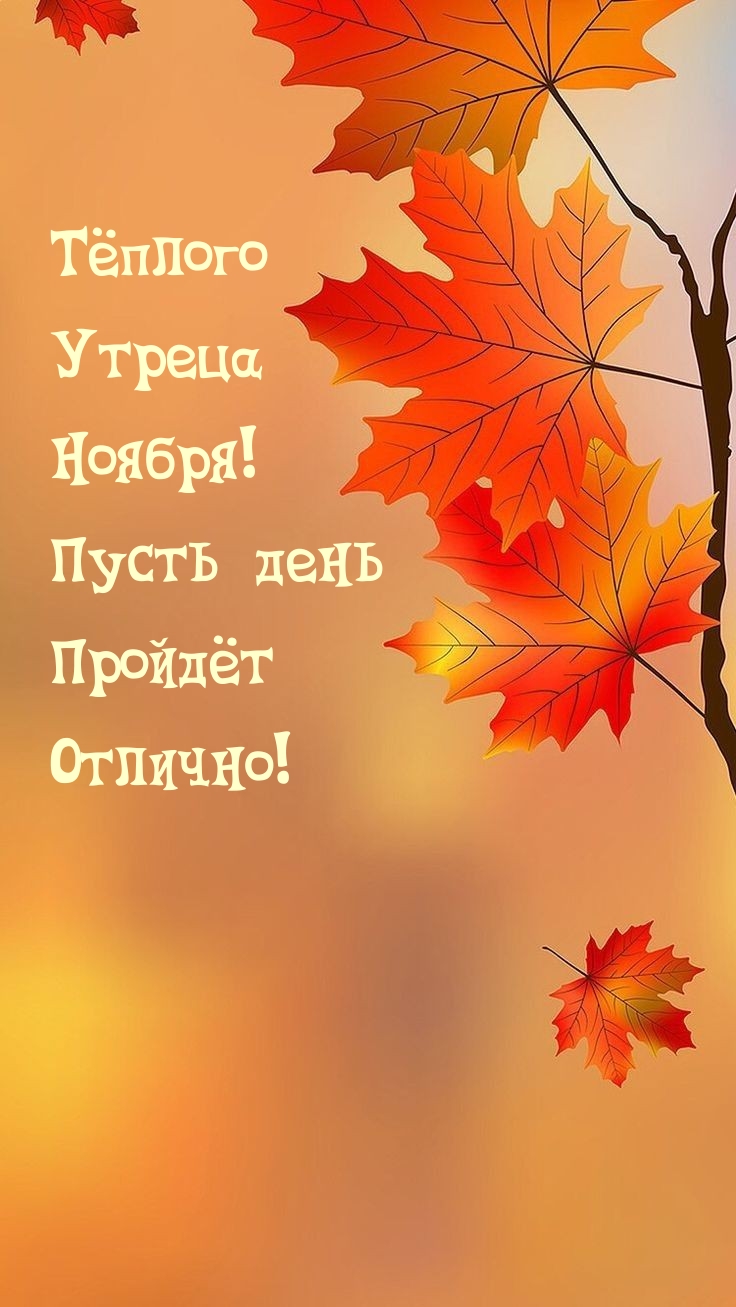 Тёплого Утреца Ноября! Пусть день Пройдёт Отлично! 
