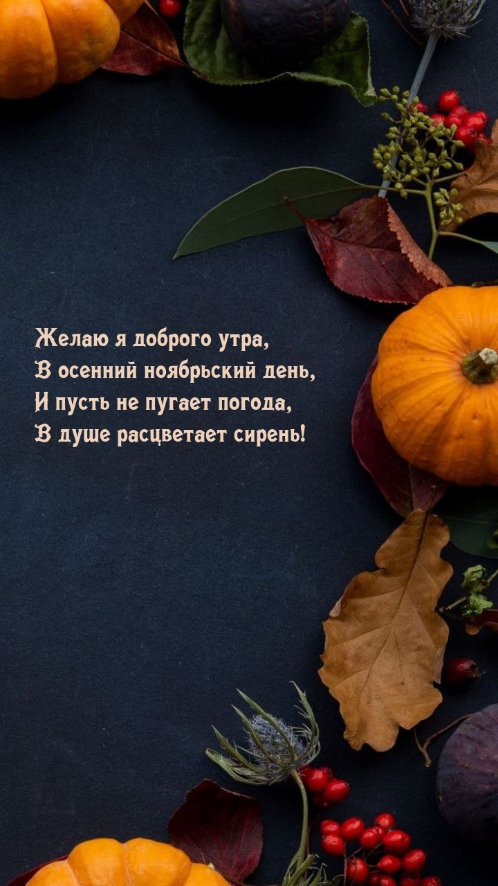 Желаю я доброго утра, в осенний ноябрьский день