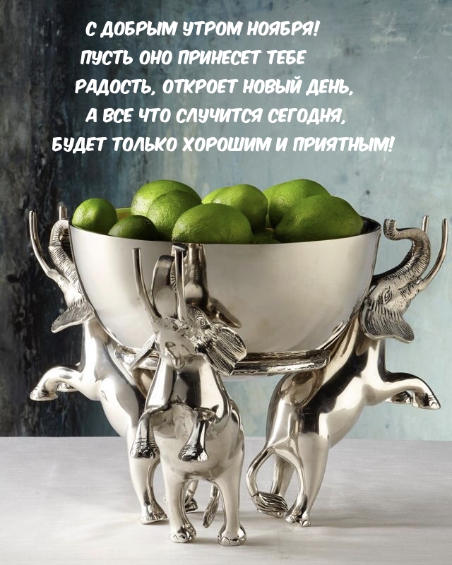 С добрым утром ноября! Радость, откроет новый день