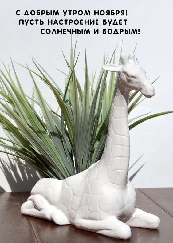 С добрым утром ноября! Пусть настроение будет солнечным 