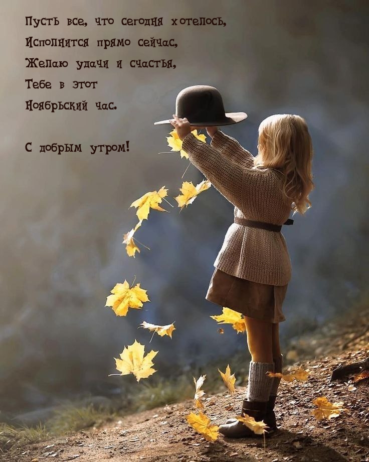 Желаю удачи и счастья, Тебе в этот Ноябрьский час.