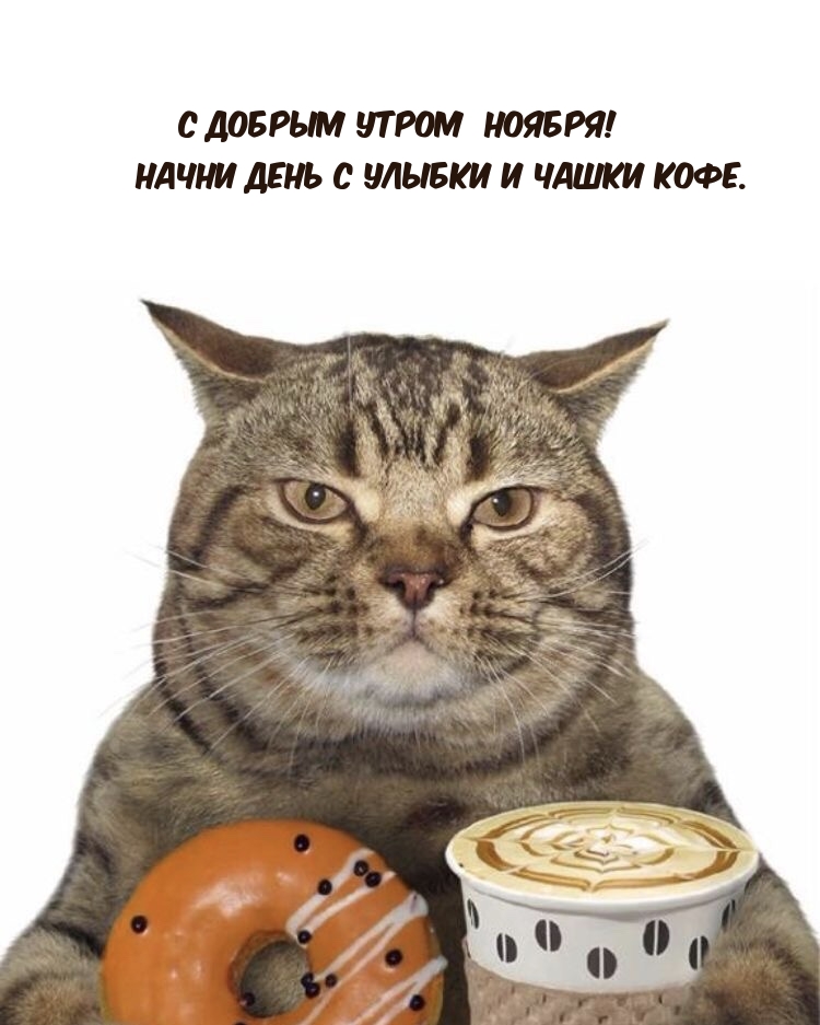 С добрым утром ноября! Начни день с улыбки и чашки кофе.