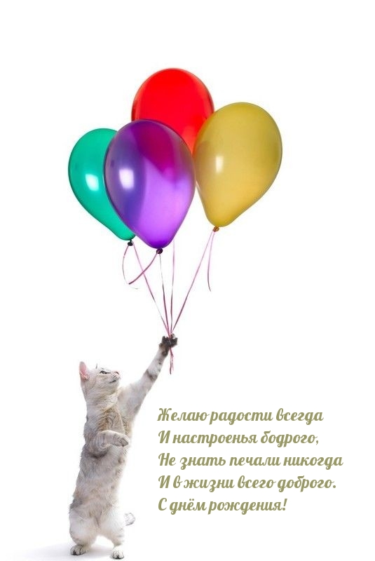 Желаю радости всегда и настроенья бодрого