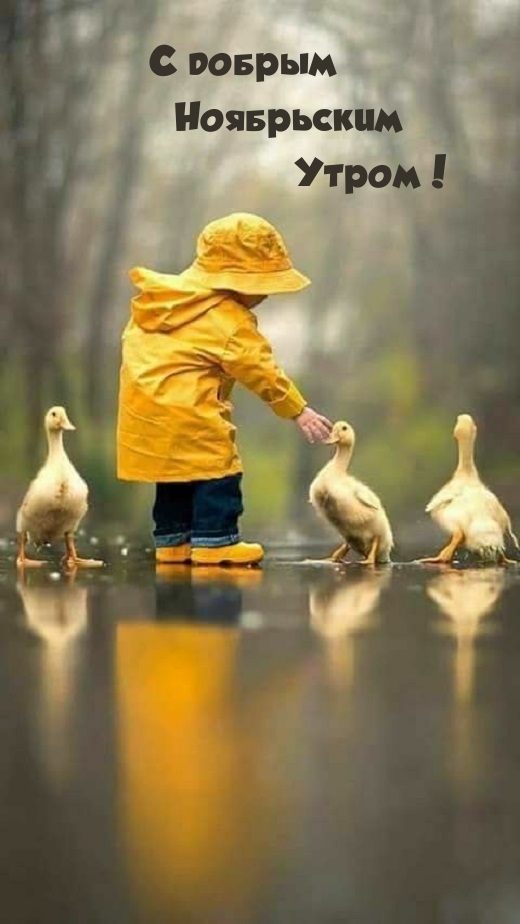 С добрым Ноябрьским Утром!