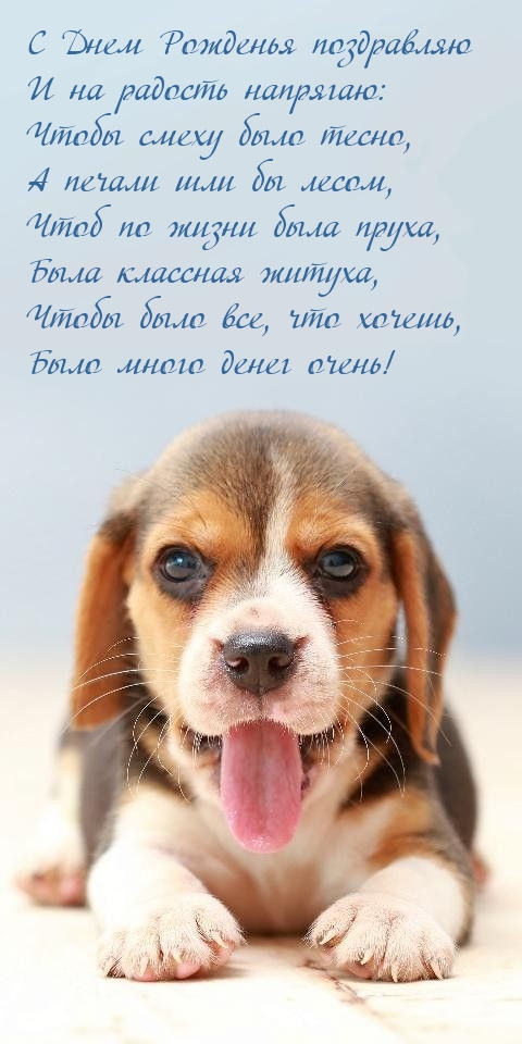 Чтобы было все, что хочешь, было много денег очень!