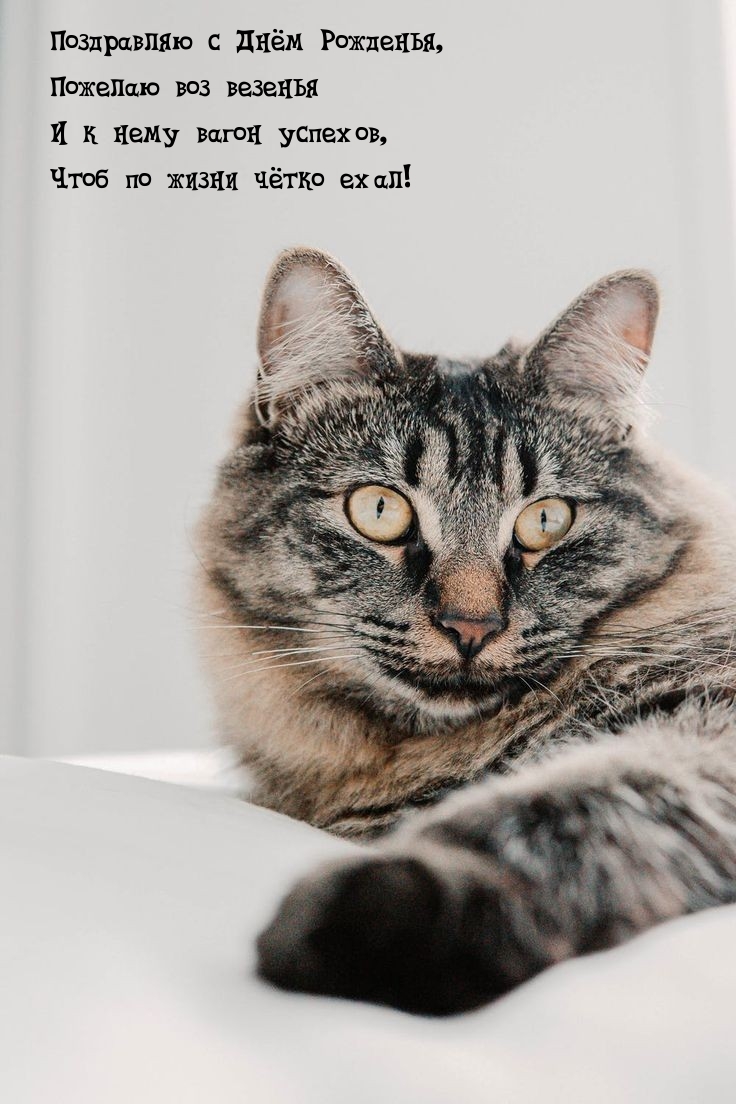 Поздравляю с Днём Рожденья, пожелаю воз везенья
