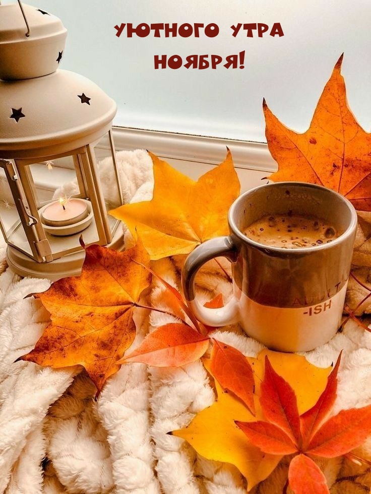 Уютного утра Ноября!
