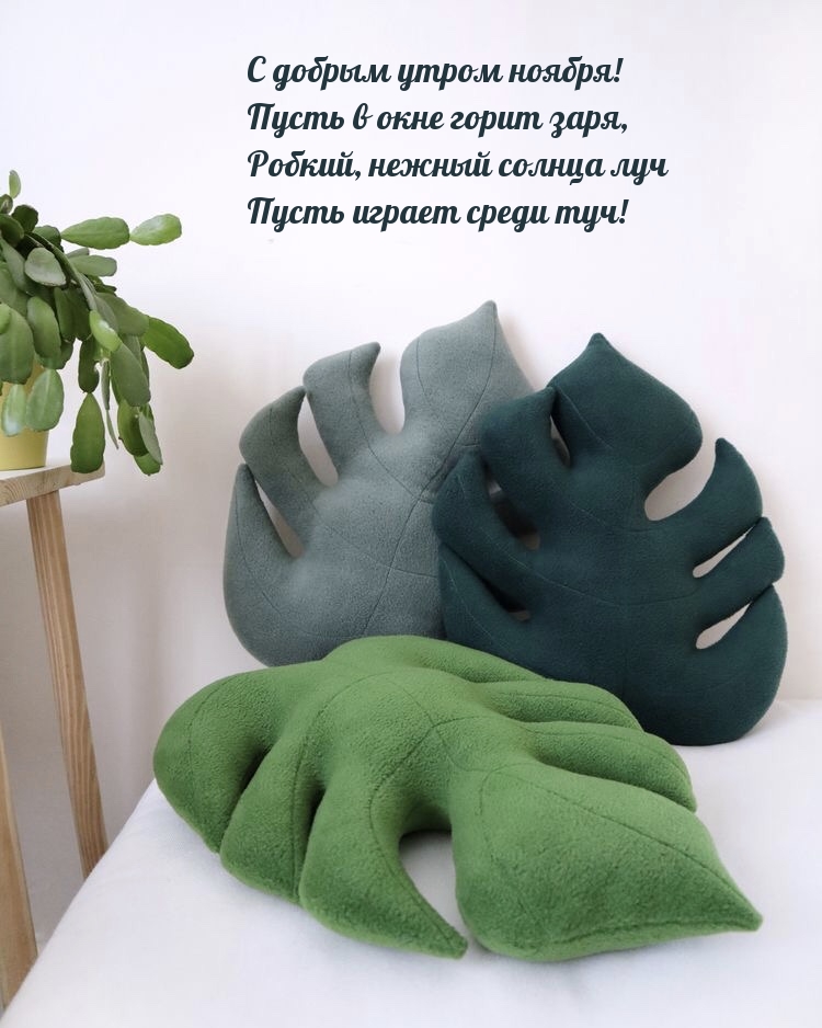 С добрым утром ноября! Пусть в окне горит заря, играет среди туч!