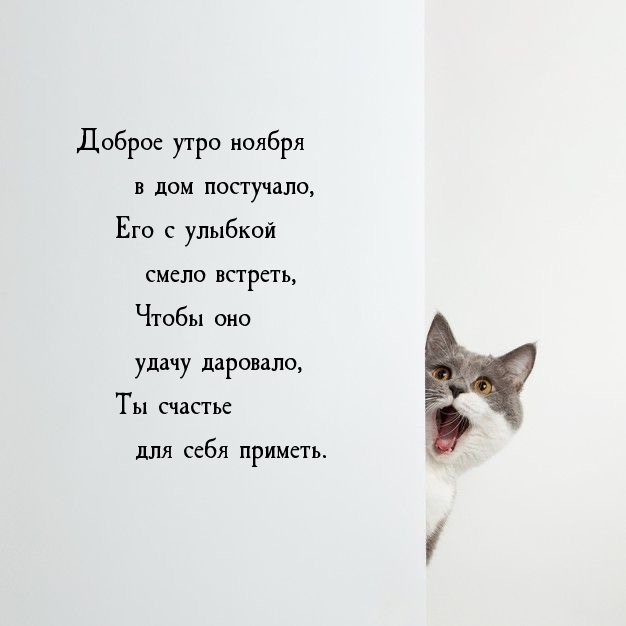 Доброе утро ноября в дом постучало